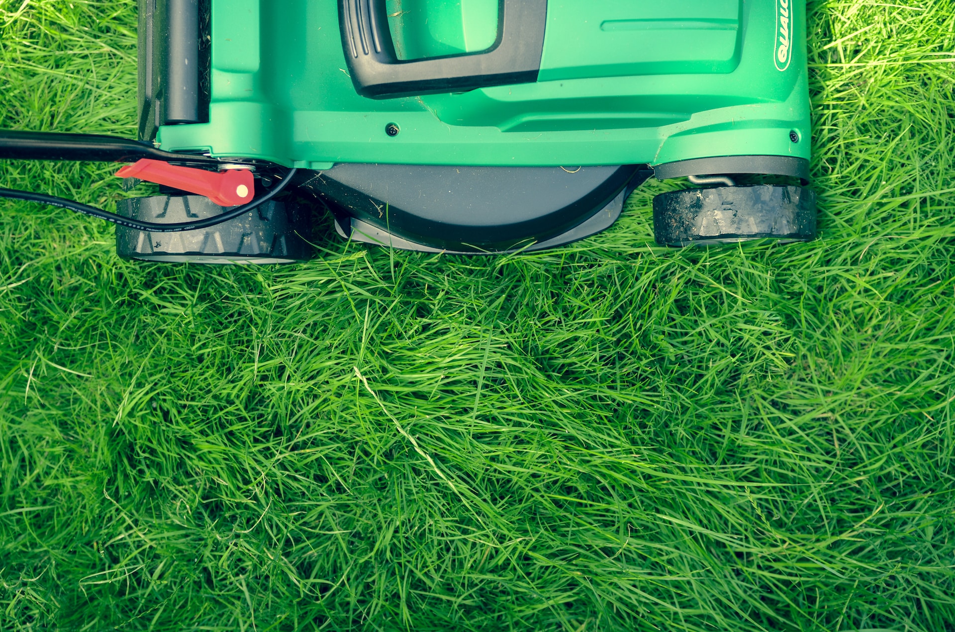 Jak dbać o trawnik w trakcie upałów?