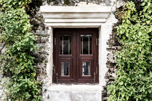 Jak wybrać idealne drzwi zewnętrzne, które połączą tradycję z nowoczesnością?