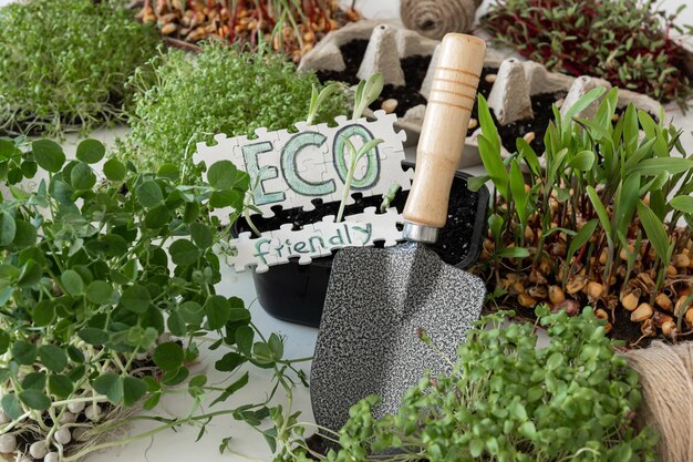 Kreatywne metody na naturalne nawożenie roślin w ogrodzie